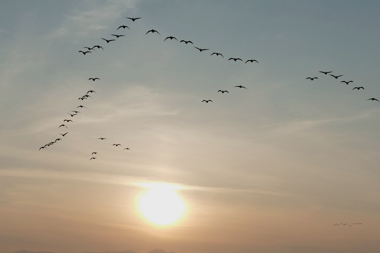 99D5A5355DF4F3A72889C1