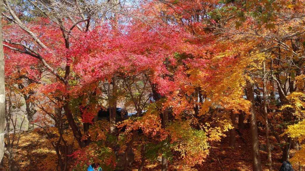 내장산