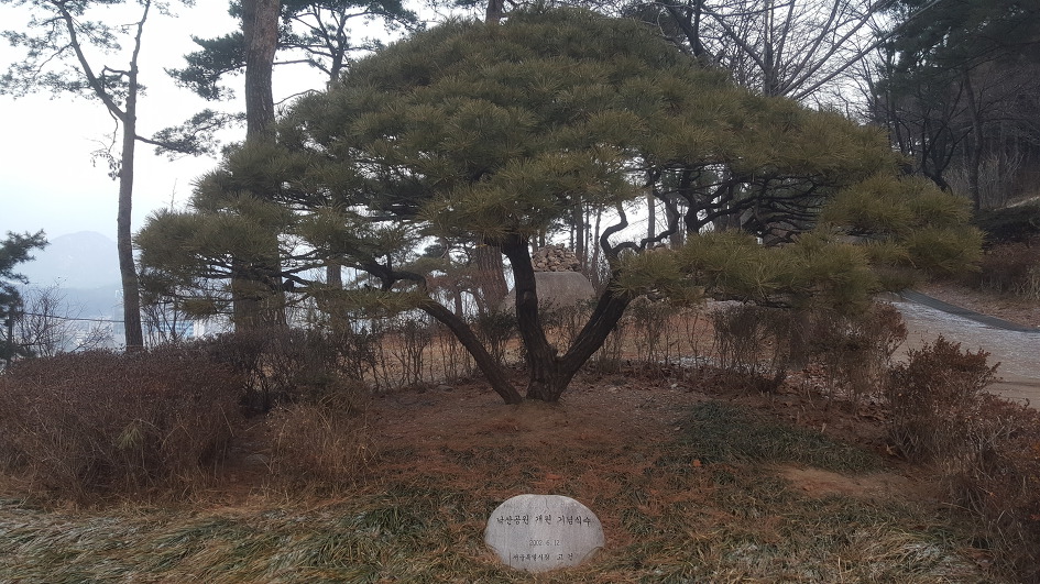 토요일 아침의 산책<2019.2.10>