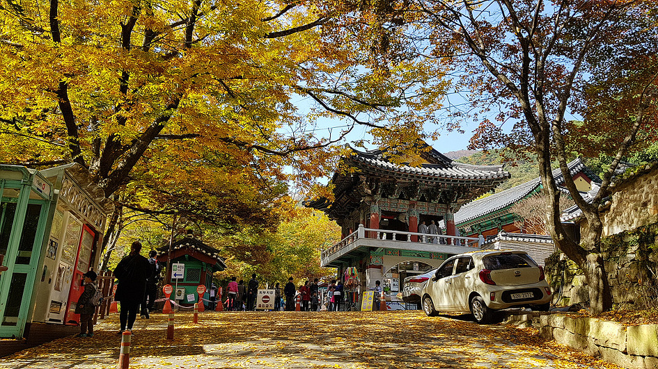 계룡산의 가을 정취에 빠져들다.