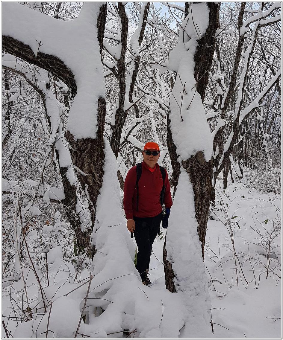 삼산이수 이미지