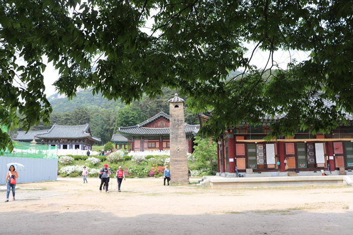 원본이미지(클릭)