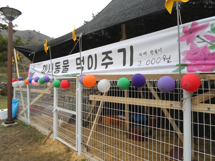 원본이미지(클릭)