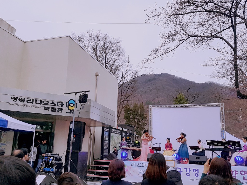 영월 라디오스타박물관 초청 음악회 '금강정 벚꽃향연'