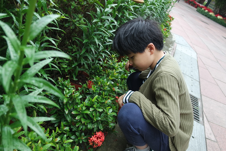 [마카오 Macao 澳门 여행] Giant Panda Pavilion 자이언트 판다 파빌리온