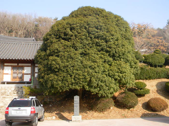 충민사의 오랜 단짝, 여수 석천사 (충민사 유물전시관, 충민사 유허비)