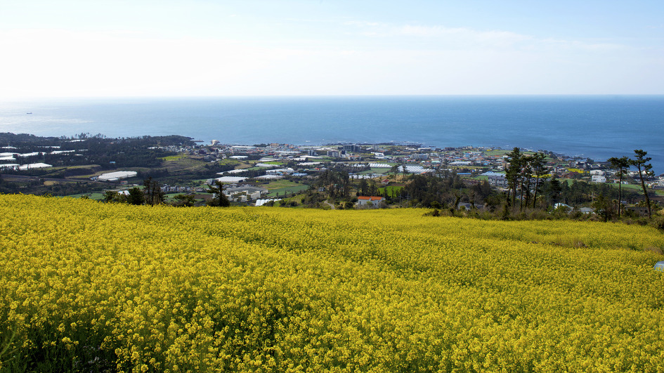 제주 군산