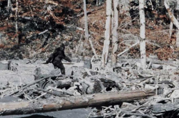 미국인 패터슨의 빅풋 쇼 - USA Patterson,s Bigfoot Show 1967