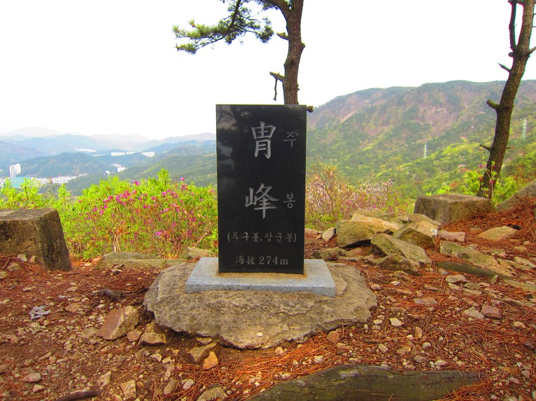부산 해운대 장산(2019. 04. 08)