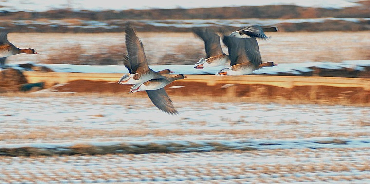 99F92A385DF4F2B0293630