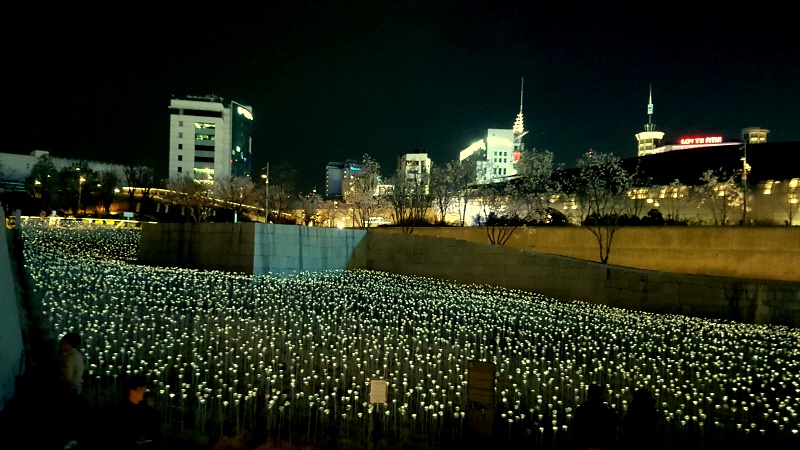 동대문 디자인 플라자