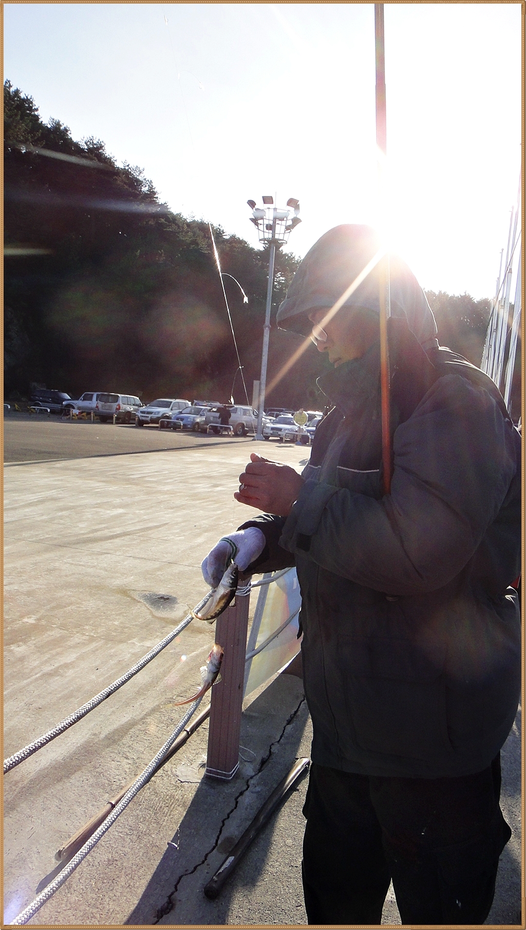 152F113E4EDCC06D2525DA